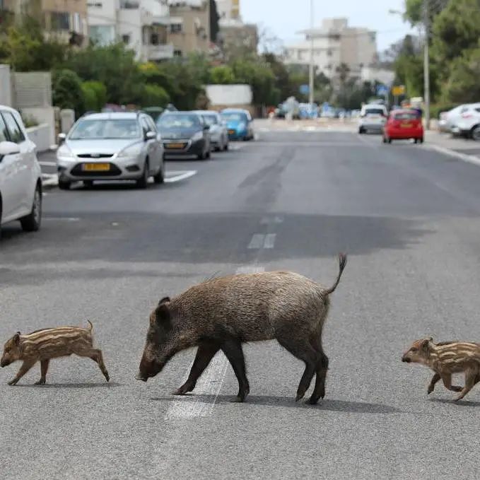 好莱坞拍了隔离期间的《史密斯夫妇》,他们盯上了全球顶奢百货里价值2700万的钻石