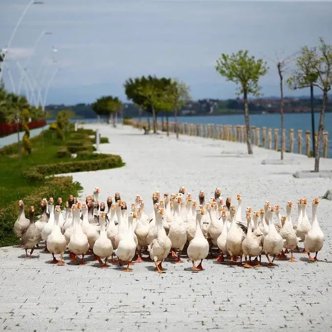 好莱坞拍了隔离期间的《史密斯夫妇》,他们盯上了全球顶奢百货里价值2700万的钻石