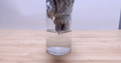 品牌干发帽吸水速干不伤头发,速干帽加厚超强吸水