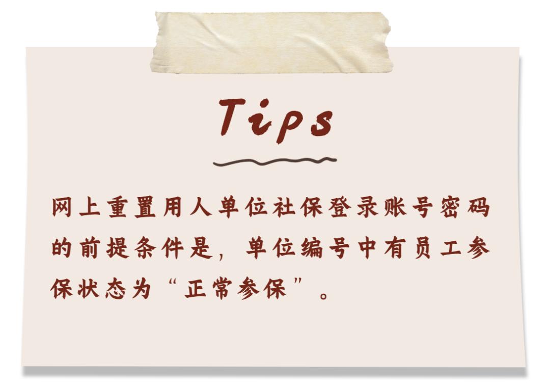 社保号和密码都忘记了怎么办,社保账号密码和社保卡登录密码