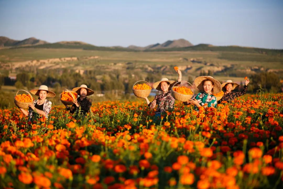 鍙や粖杈夋槧瀹屾暣瑙嗛,鍙や粖浜ょ浉杈夋槧