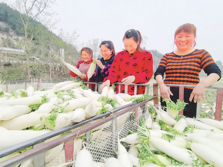 百名记者进百村｜射洪市广兴镇武南村：山村美了生活好了村民乐了