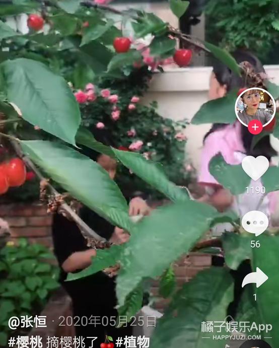 还珠格格小燕子和塞娅公主打架,还珠格格第一部塞娅公主身孕