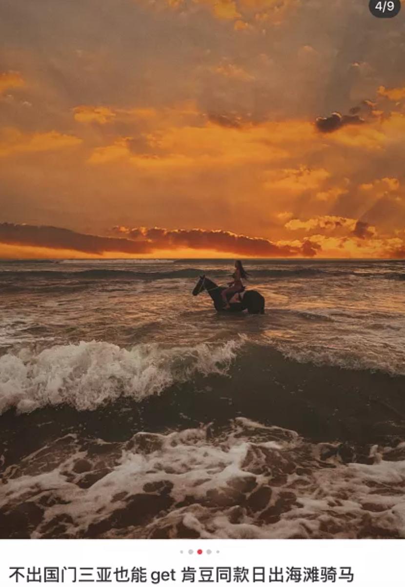 一马难求！网红在逃公主风把马都拍涨价了