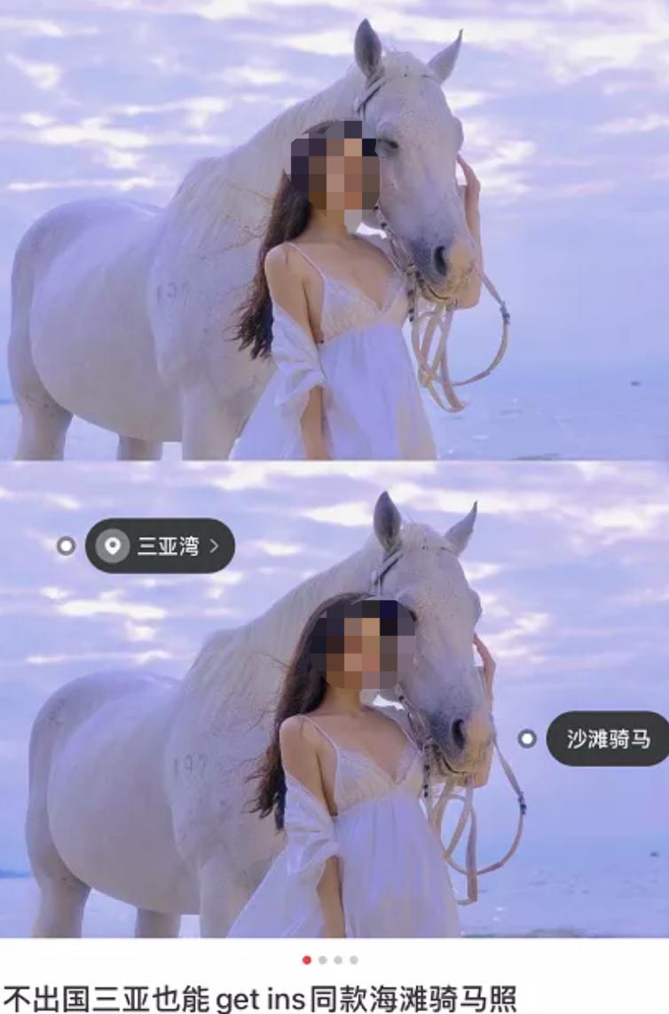 一马难求！网红在逃公主风把马都拍涨价了