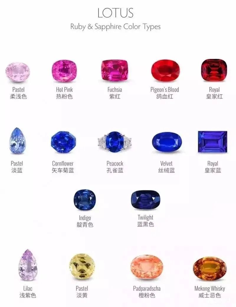 科普分享涨知识,科普涨知识干货