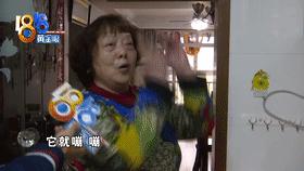 菜还没热好燃气灶炸了,此“樱花”非彼“樱花”?