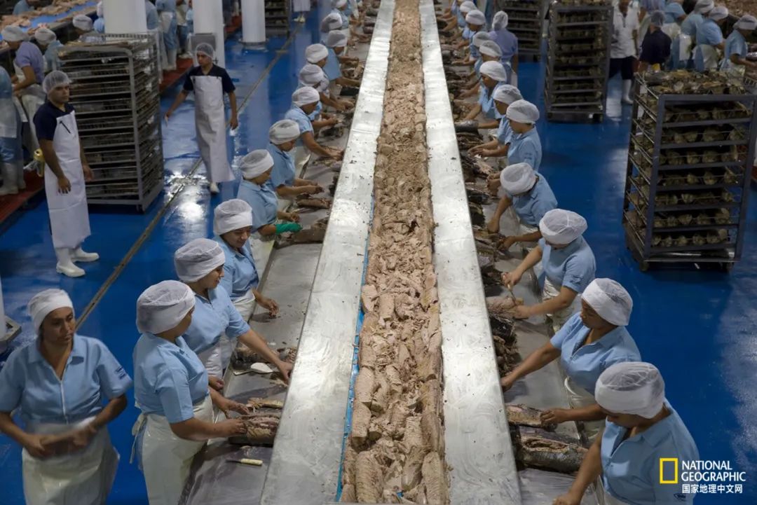 娴疯睔鏈夊瀹夊叏,娴疯睔鍓嶉儴闃叉挒鎻愮ず