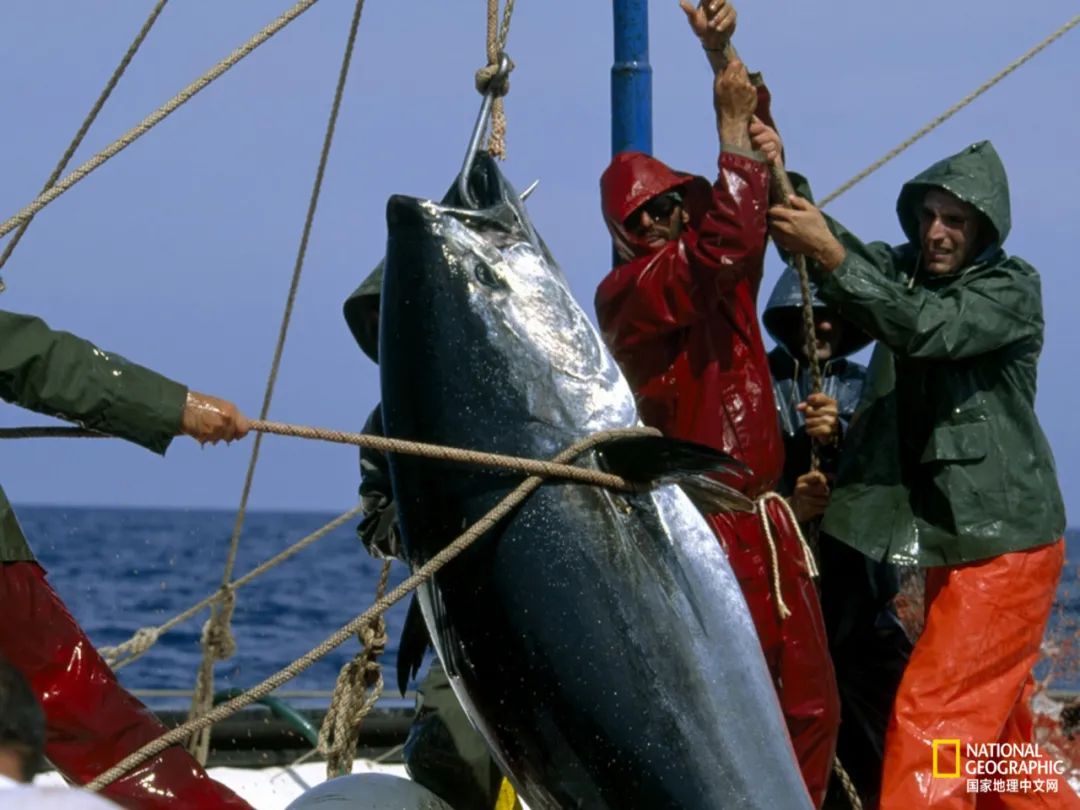 娴疯睔鏈夊瀹夊叏,娴疯睔鍓嶉儴闃叉挒鎻愮ず