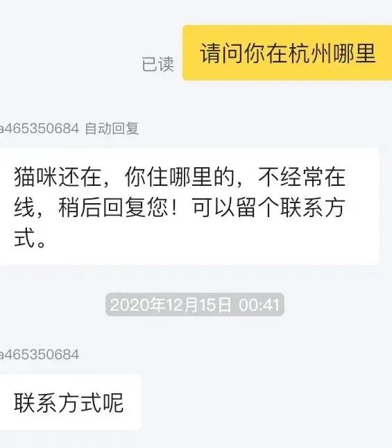 *子骗**又出新套路，可爱小猫沦为「骗钱工具人」