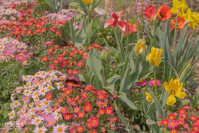 绘画我和春天有个约会,亲子绘画我和春天有个约会