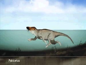 古巴变性手术,去国外做变性手术需要什么手续