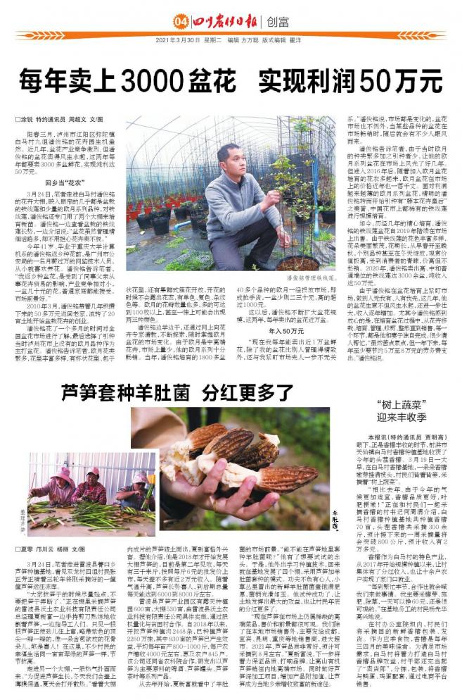 每年利润30万的生意,每年挣100-200万的生意