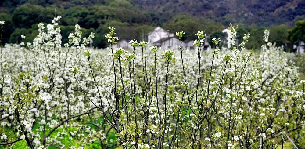 苏州十大打卡点,苏州一定要去打卡的地方