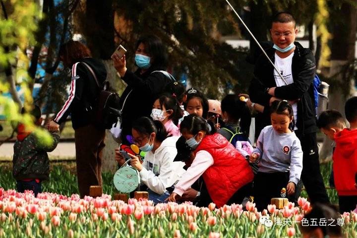 清明时节万物清新,清明万物新