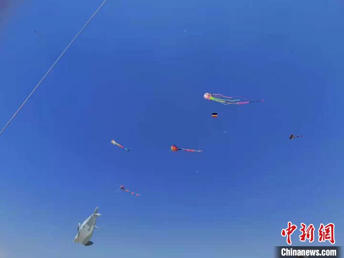 内蒙古巨型风筝放飞视频,内蒙古巨型风筝