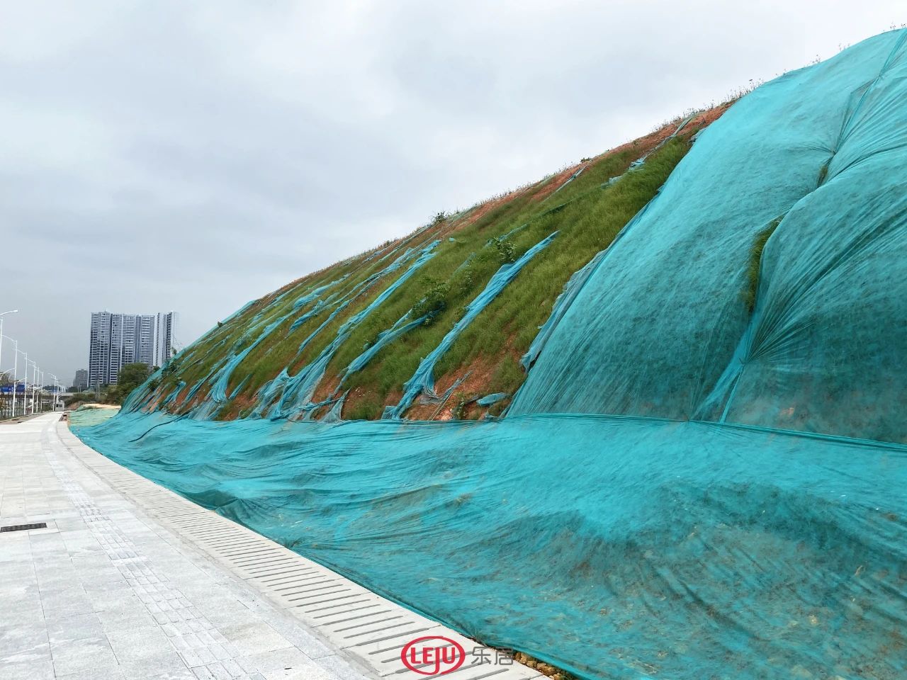 番禺现在最值得买的房子,番禺最值得买房的区域