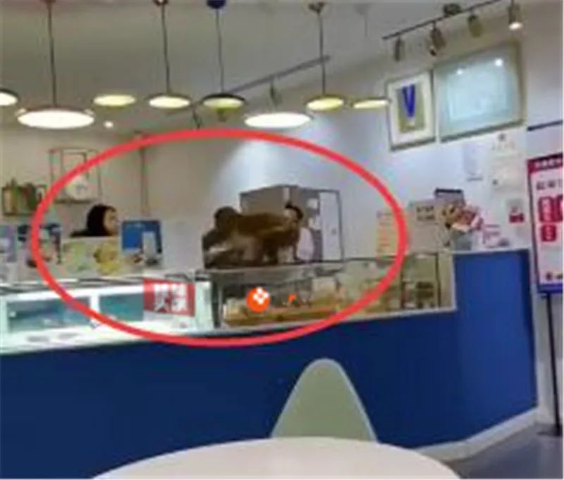 桂林某蛋糕店惊现“美猴王”，上演大白天“入室抢劫”