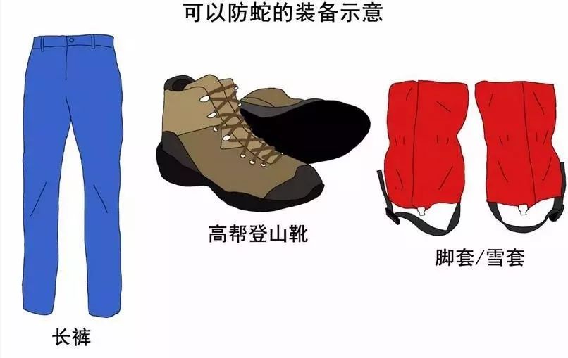 小心有蛇出没济南消防抓蛇解民忧,小心蛇