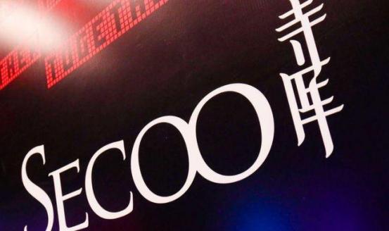 二手奢侈品博览会,二手奢侈品代购与回收