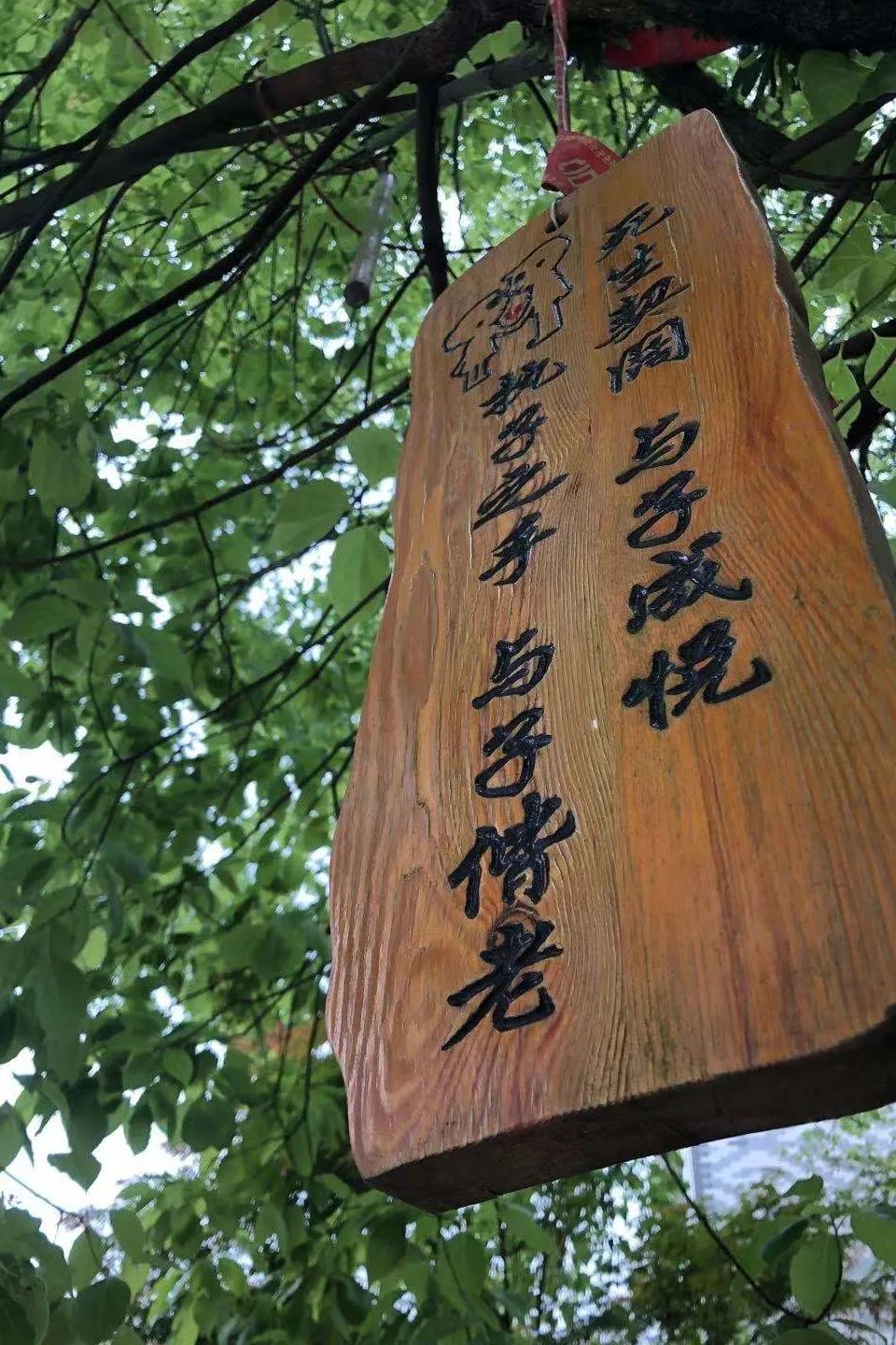 义乌美食及景点,义乌一日游必打卡美食