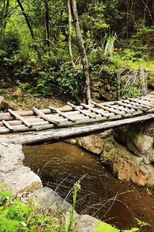 义乌美食及景点,义乌一日游必打卡美食