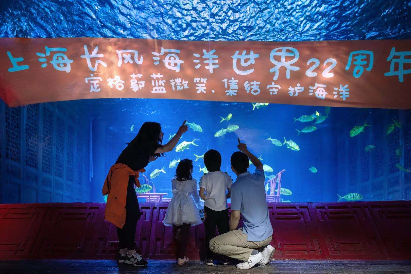 这里有没有你的童年回忆?上海长风海洋世界“鳐鱼湾”全新亮相,神秘深海世界等你来探索