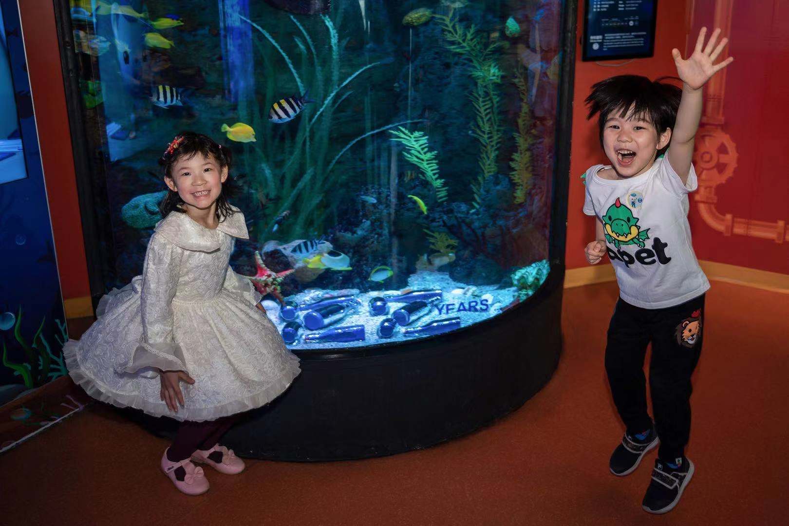 这里有没有你的童年回忆?上海长风海洋世界“鳐鱼湾”全新亮相,神秘深海世界等你来探索