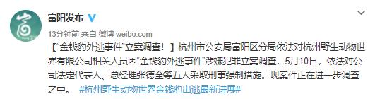 动物园豹子出逃什么罪,野生动物园出逃豹子