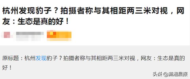 半岛聚焦丨只认“金钱”不识“豹”，为了流量闹哪样？盘点杭州“瞒豹”事件始末