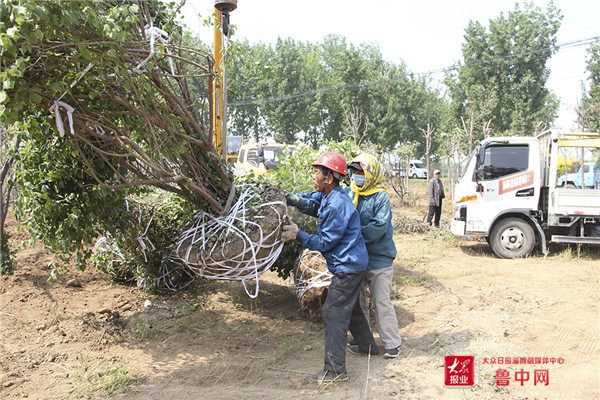 山东淄博张店区,山东淄博gdp