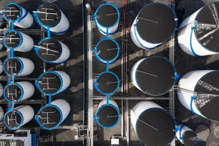 秀水泱泱红船依旧,秀水泱泱红船依旧全文