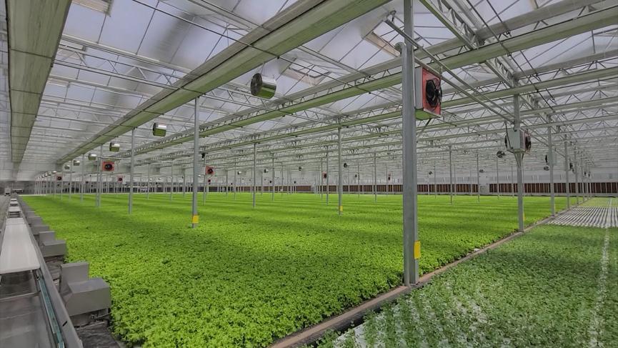 年收入1.6亿元!农展馆、菜园、度假村…这样的农业公园,你见过吗→