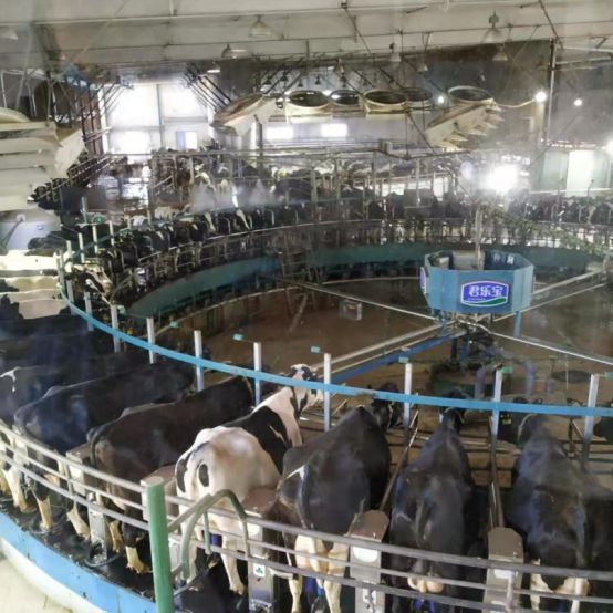 「迎暖春送积分」固特异安乘带我游览君乐宝牧场