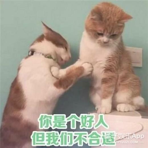 真设计鬼才!帽子是抽纸盒鞋子是充电宝,这确定不是给人添堵的?