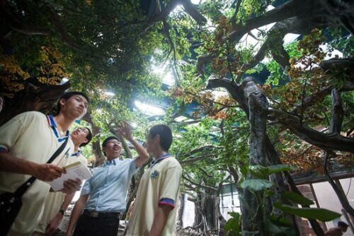 冰点特稿第1222期在大厂实习