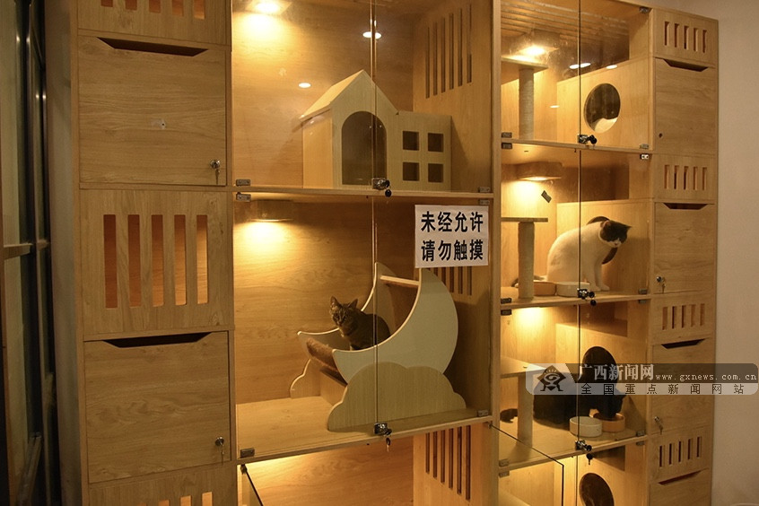 外出宠物在家怎么办,南宁宠物寄养多少一天