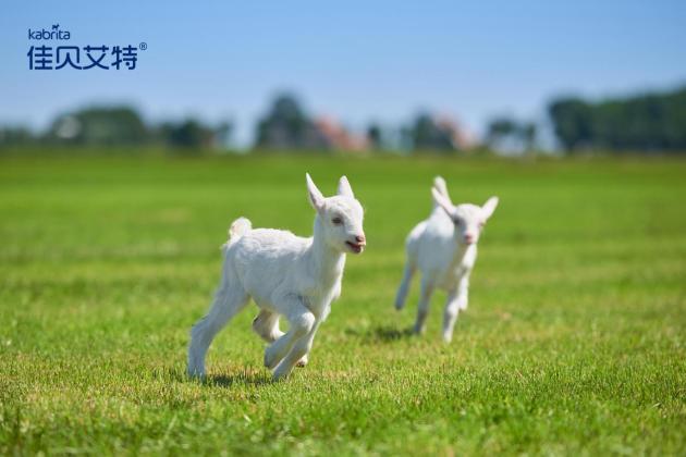 宝妈挑选奶粉如何避坑,宝宝奶粉口碑最好的羊奶粉