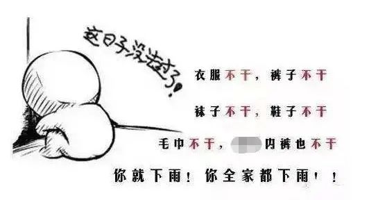 车发霉进icu,车子室内发霉