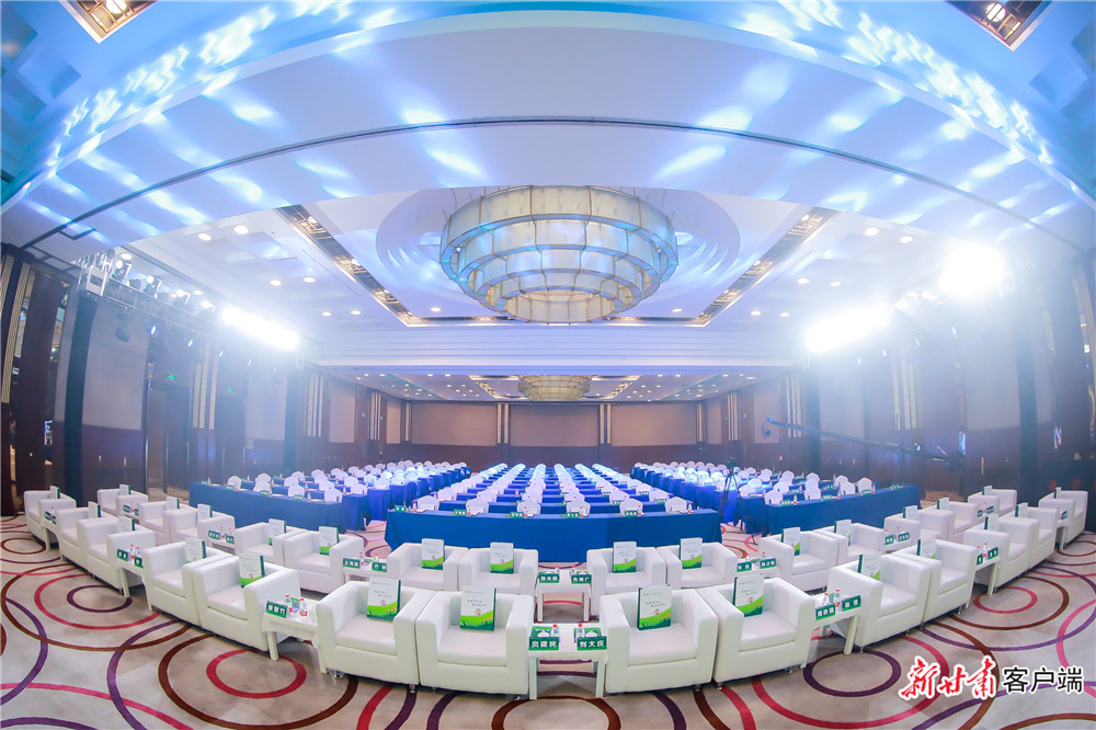 甘肃环县种羊,甘肃庆阳环县羊羔肉