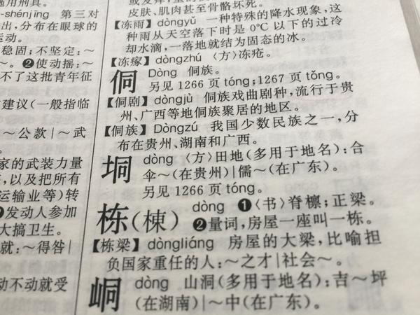 垌和洞有什么区别,垌和洞的区别