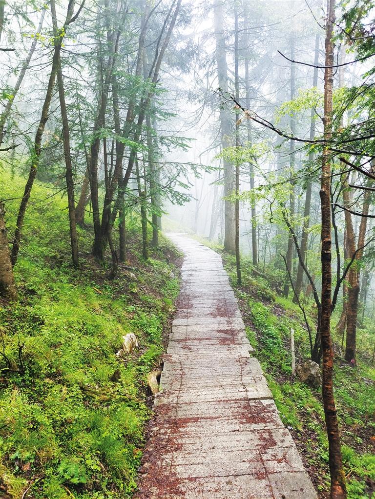 人间仙境莲花山,莲花山观景台半山腰