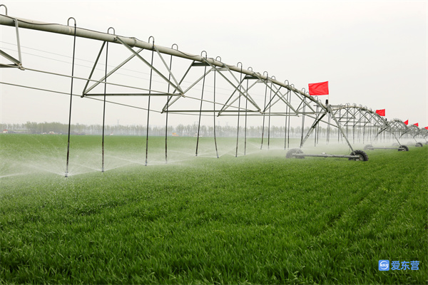 东营市成绩,东营市各县区排名