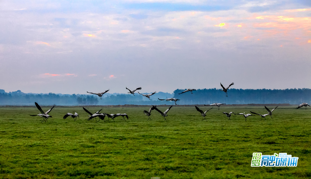 无边光景日日新打一生肖,无边光景日日新
