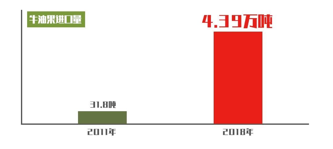 进口水果基础知识大全,进口水果合集推荐品牌