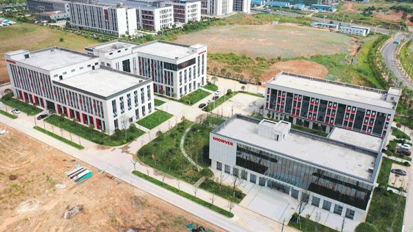 动图运动会,动图赛龙舟