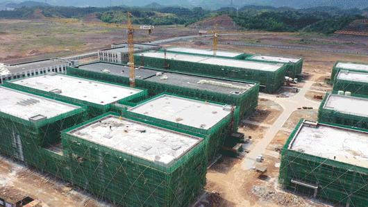 动图运动会,动图赛龙舟