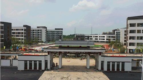 动图运动会,动图赛龙舟