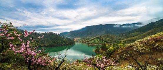 共绘乡村振兴美好画卷,共绘乡村振兴美丽画卷