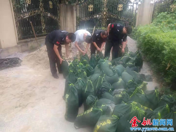 余姚台风烟花最新动态,防范烟花台风简报